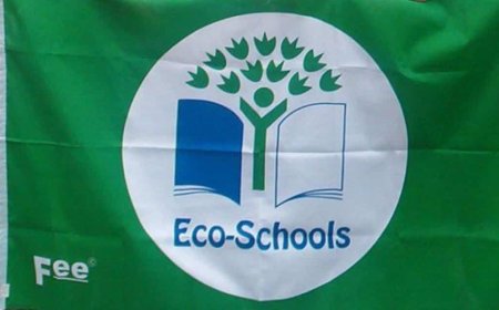 "Understanding Ecological Schools: Shaping Future Citizens for Sustainability"