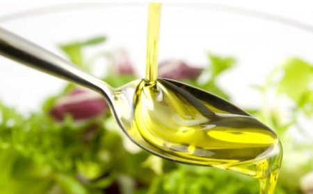 What Can We Do for the Recycling of Vegetable Oils?