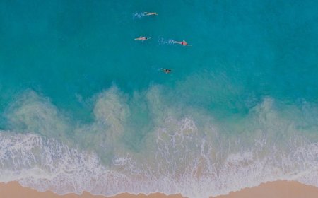 Travel & Tourism Sector Reached Record-Breaking New Heights Last Year